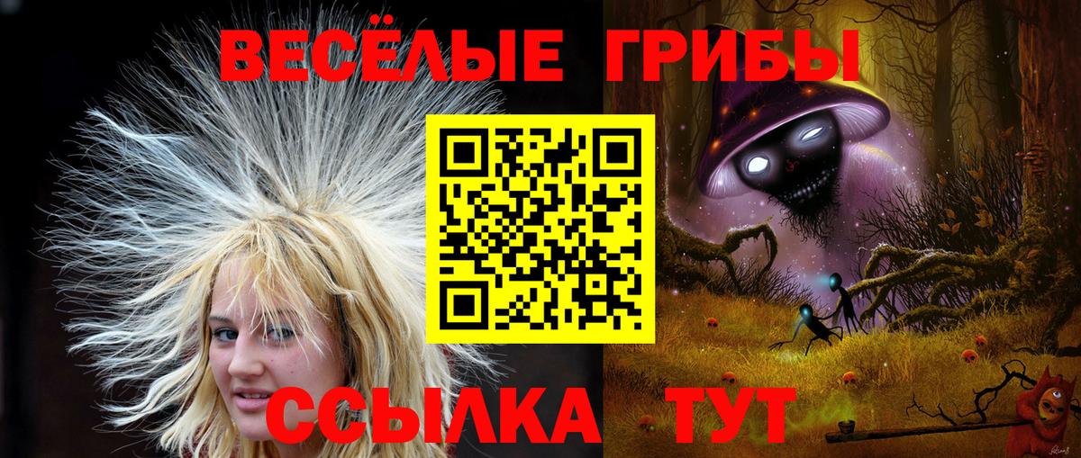 Псилоцибиновые грибы ЛСД  Вход с VPN  Грозный 